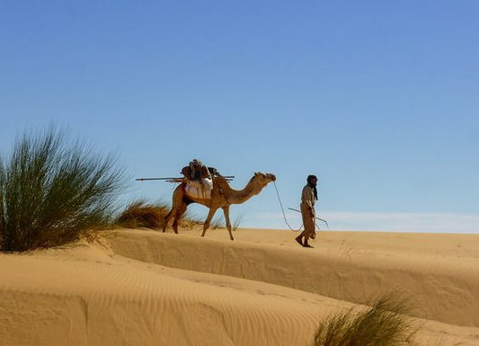 Les Hommes Bleues du Sahara : Gardiens d'un Héritage Multiculturel